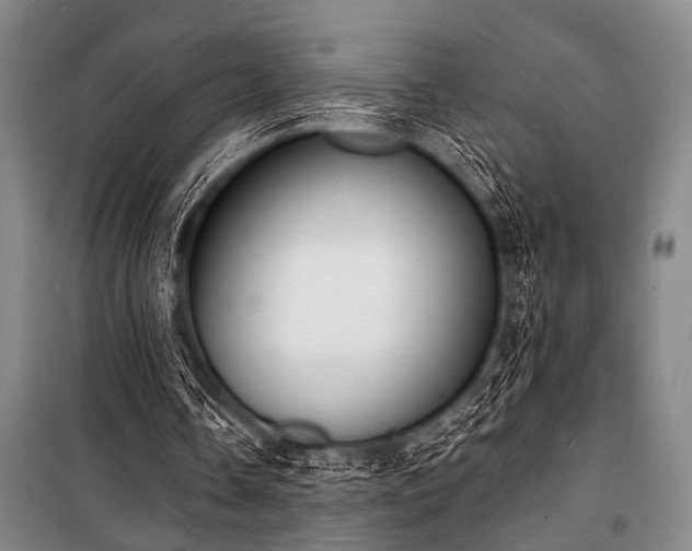 X0000101200338200806271356
