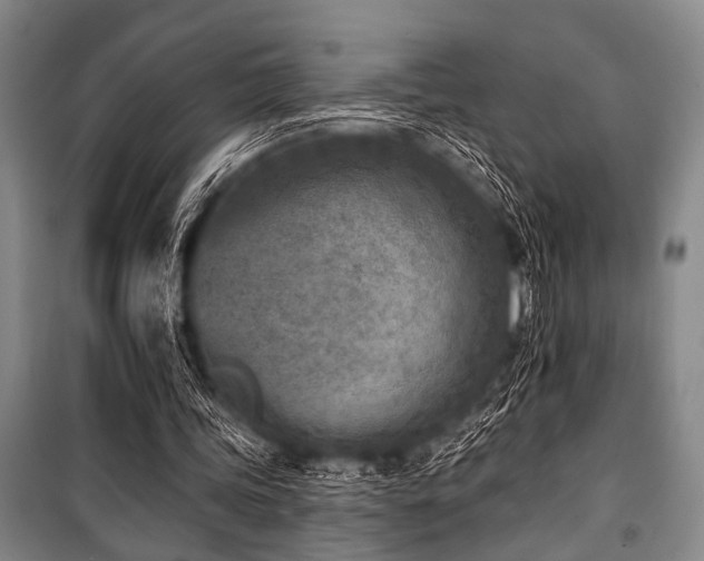 X0000101200339200806271356