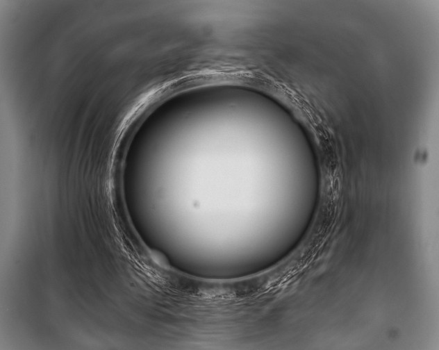 X0000101200340200806271356