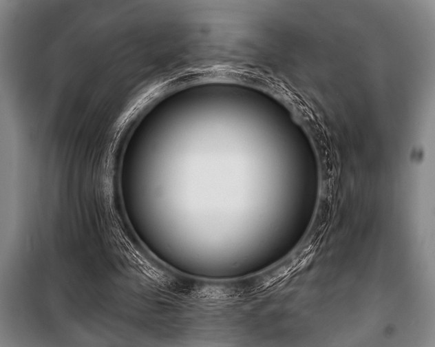 X0000101200341200806271356