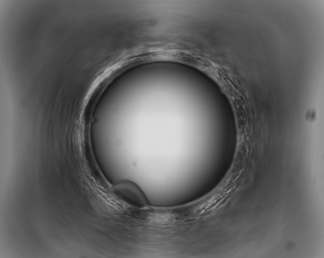 X0000101200342200806271356