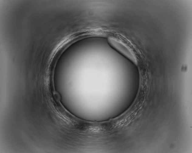 X0000101200344200806271356