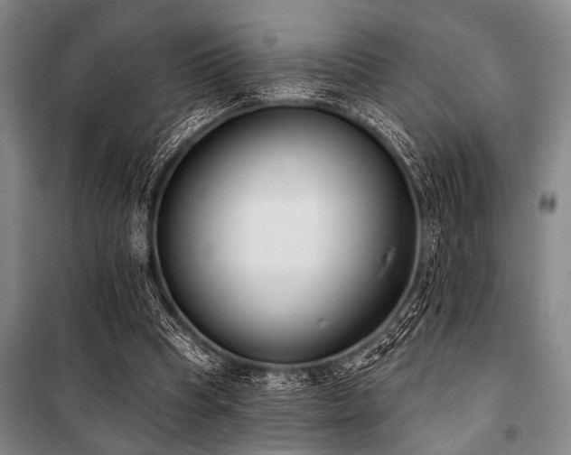 X0000101200345200806271356