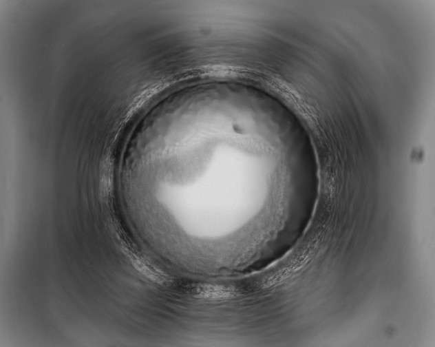 X0000101200347200806271356