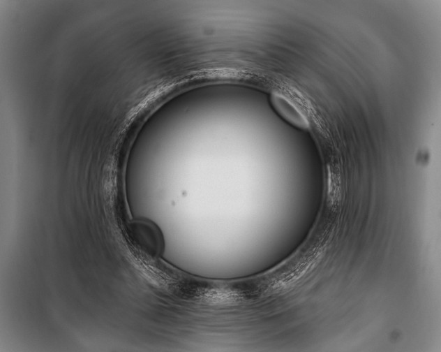 X0000101200348200806271356