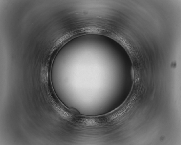 X0000101200349200806271356