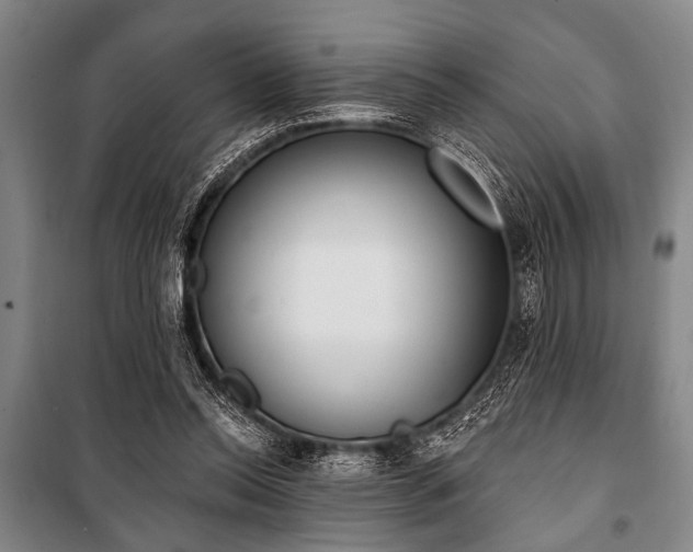 X0000101200350200806271356
