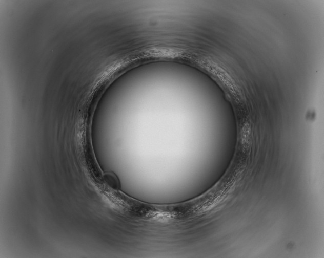X0000101200352200806271356