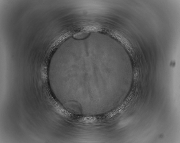 X0000101200353200806271356