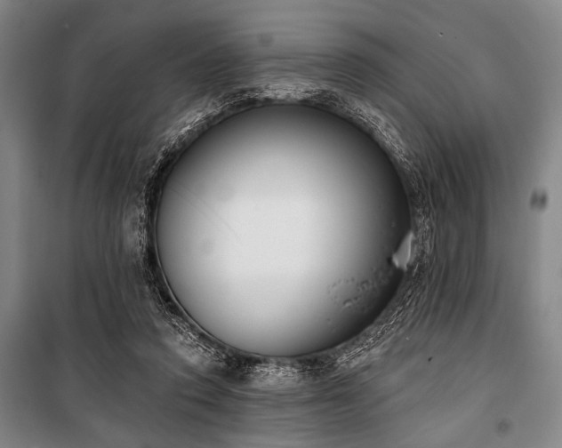 X0000101200354200806271356