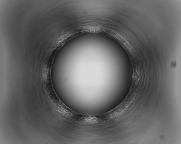 X0000101200355200806271356