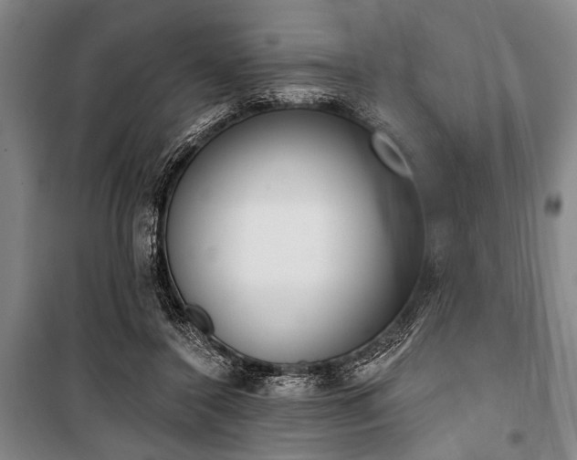 X0000101200356200806271356
