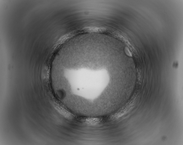 X0000101200357200806271356