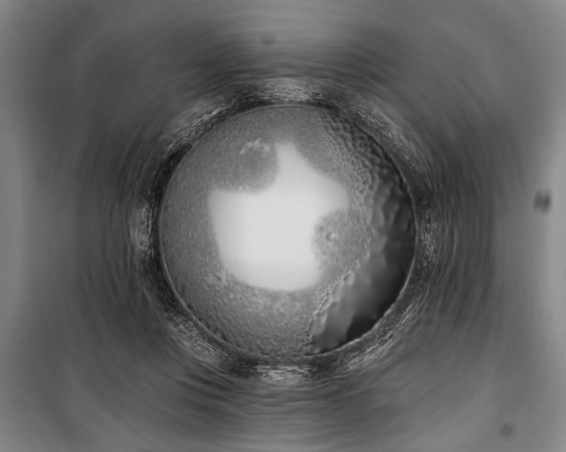 X0000101200359200806271356