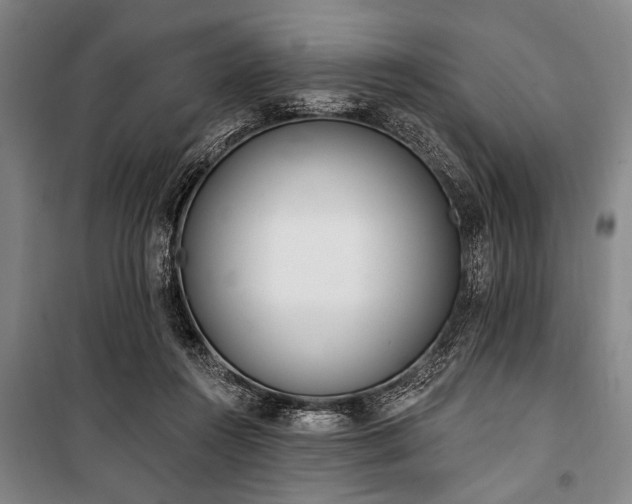 X0000101200360200806271356