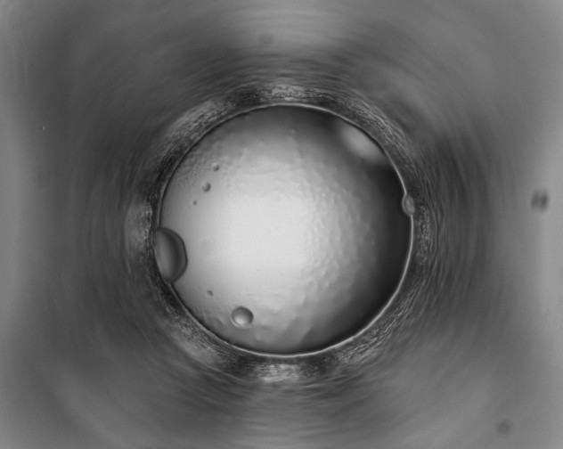 X0000101200361200806271356