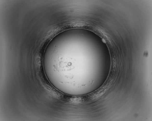 X0000101200362200806271356