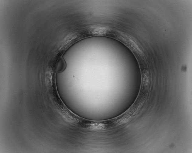 X0000101200363200806271356