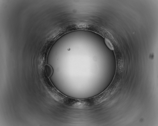 X0000101200364200806271356