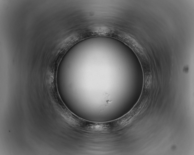 X0000101200365200806271356