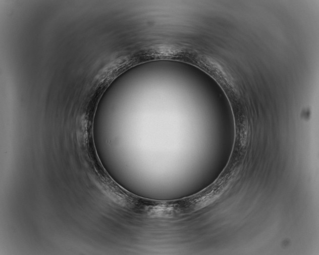 X0000101200366200806271356