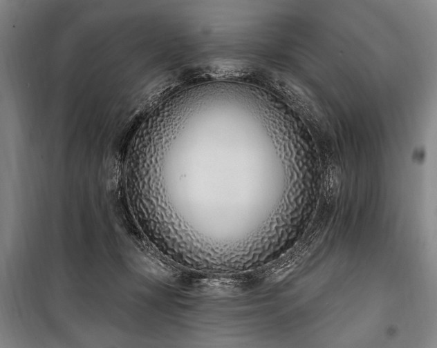 X0000101200367200806271356