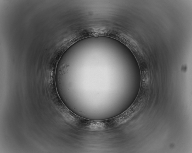 X0000101200369200806271356