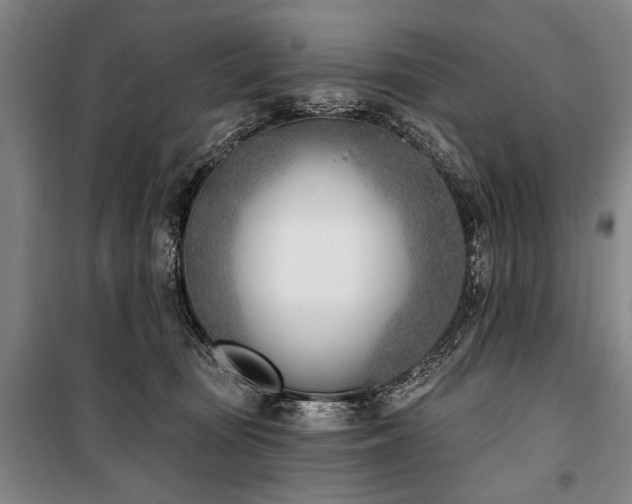 X0000101200371200806271356