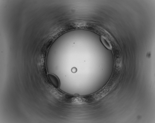 X0000101200372200806271356