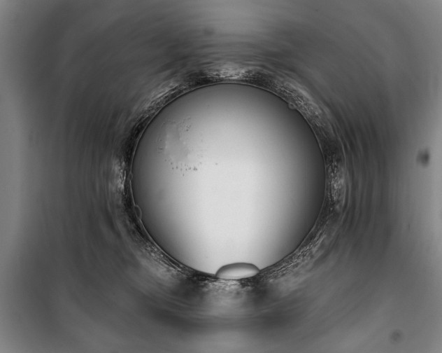 X0000101200374200806271356