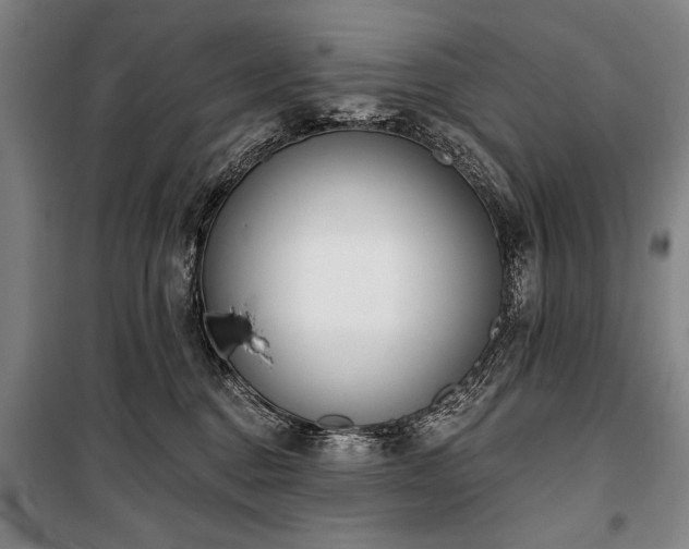 X0000101200376200806271356