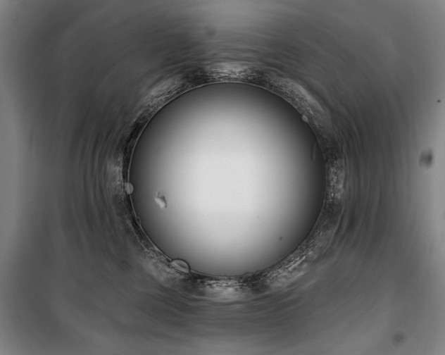 X0000101200377200806271356