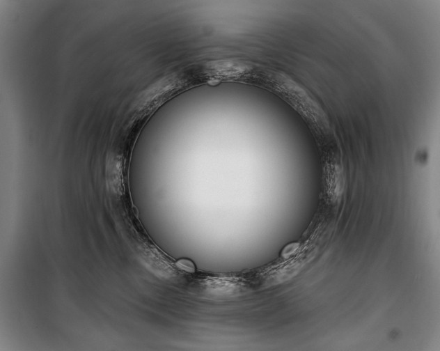 X0000101200378200806271356