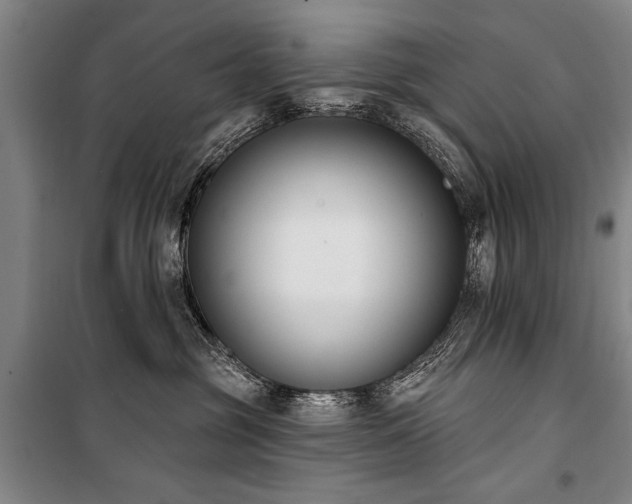 X0000101200381200806271356