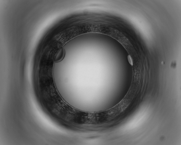 X0000101200383200806271356