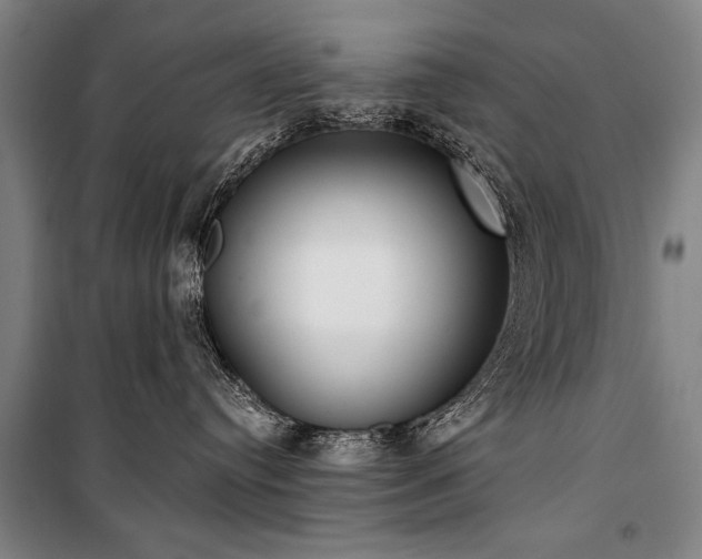 X0000101200384200806271357