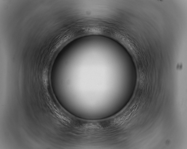 X0000101200386200806271356