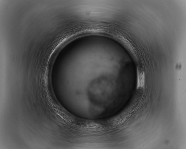 X0000101200387200806271356
