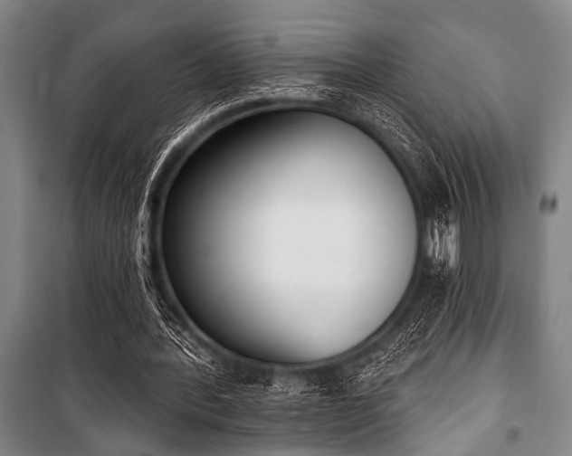 X0000101200388200806271356