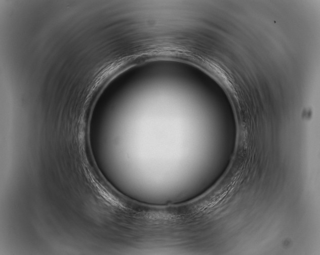X0000101200389200806271356