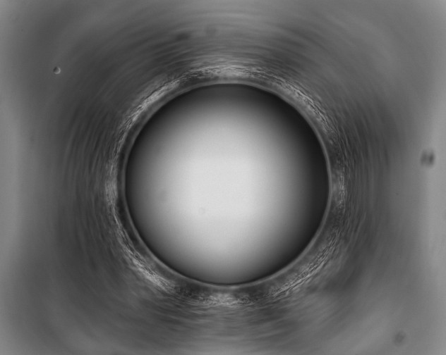 X0000101200390200806271356