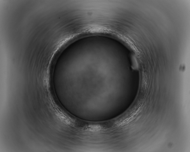 X0000101200391200806271356