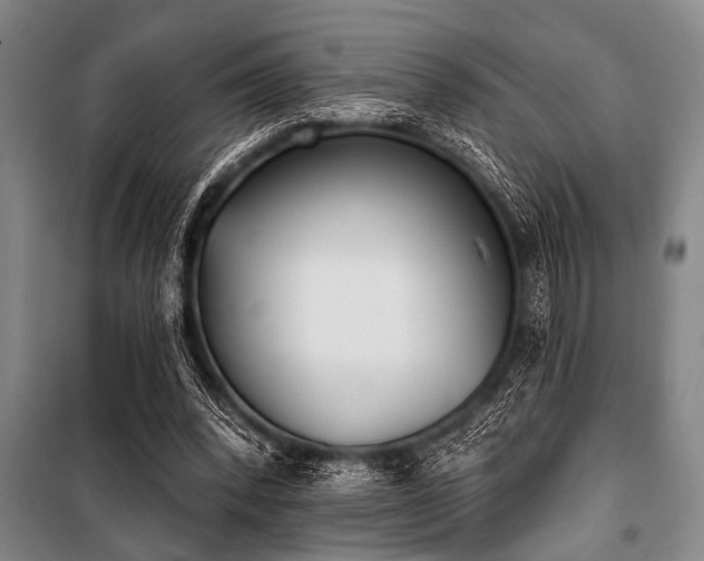 X0000101200392200806271356