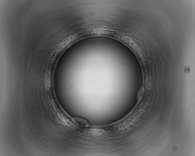 X0000101200393200806271356