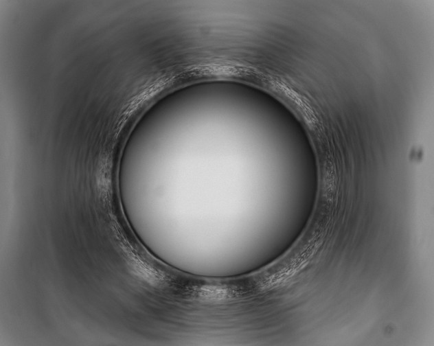 X0000101200394200806271356