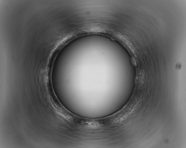 X0000101200395200806271356