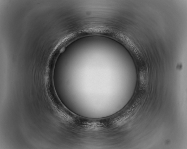 X0000101200396200806271356