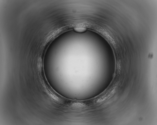 X0000101200397200806271356