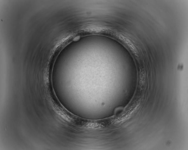 X0000101200399200806271356