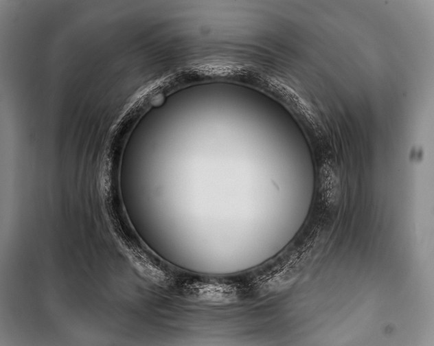 X0000101200400200806271356